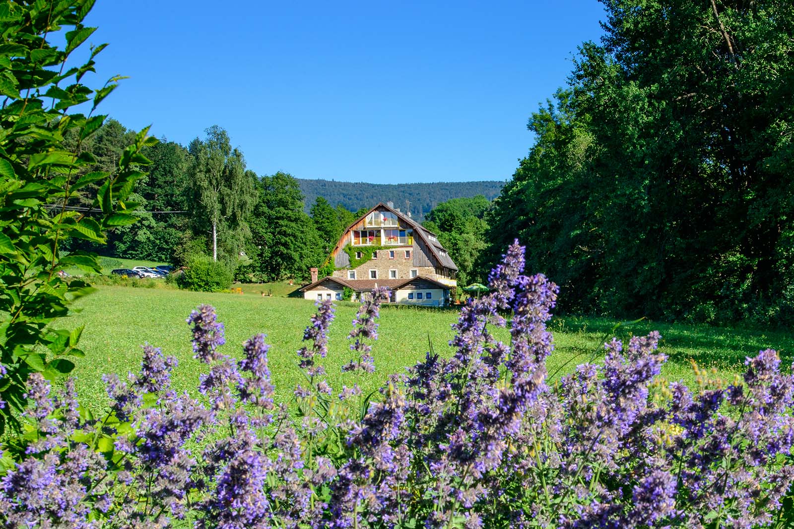 Hotel Frankenschleif Außenansicht mit umliegender Natur